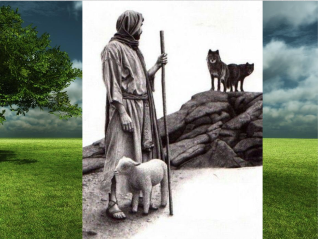 Vị mục tử canh giữ chiên trước sói dữ. Ảnh minh họa
